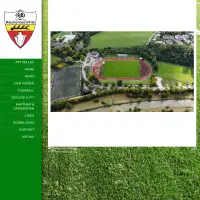 VfB Reichenbach