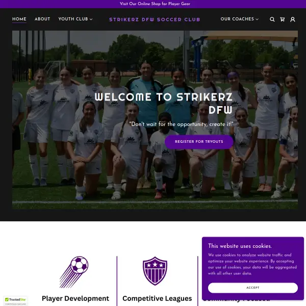 StrikerZ DFW