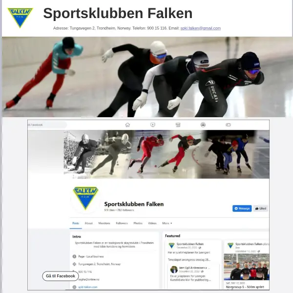 SK Falken