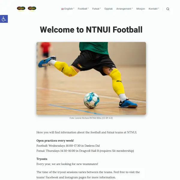 NTNUI Fotball